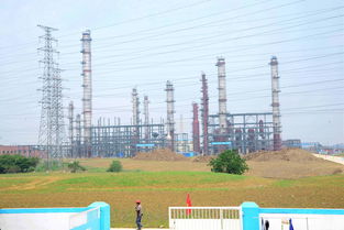 大明支持環(huán)保項(xiàng)目建設(shè)